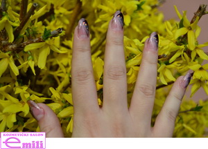 Plants: image 4 0f 19  thumb