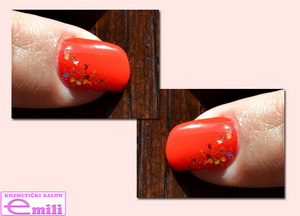 Plants: image 6 0f 19  thumb