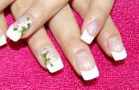 Plants: image 18 0f 19  thumb