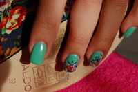Plants: image 19 0f 19  thumb
