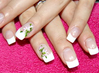 Plants: image 18 0f 19  thumb
