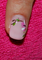 Plants: image 15 0f 19  thumb