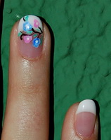 Plants: image 16 0f 19  thumb